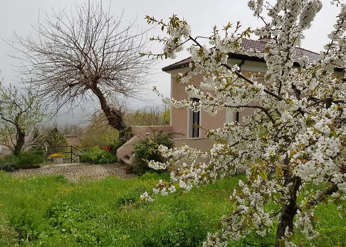 Bed and Breakfast L'Antico Gelso Viggiano