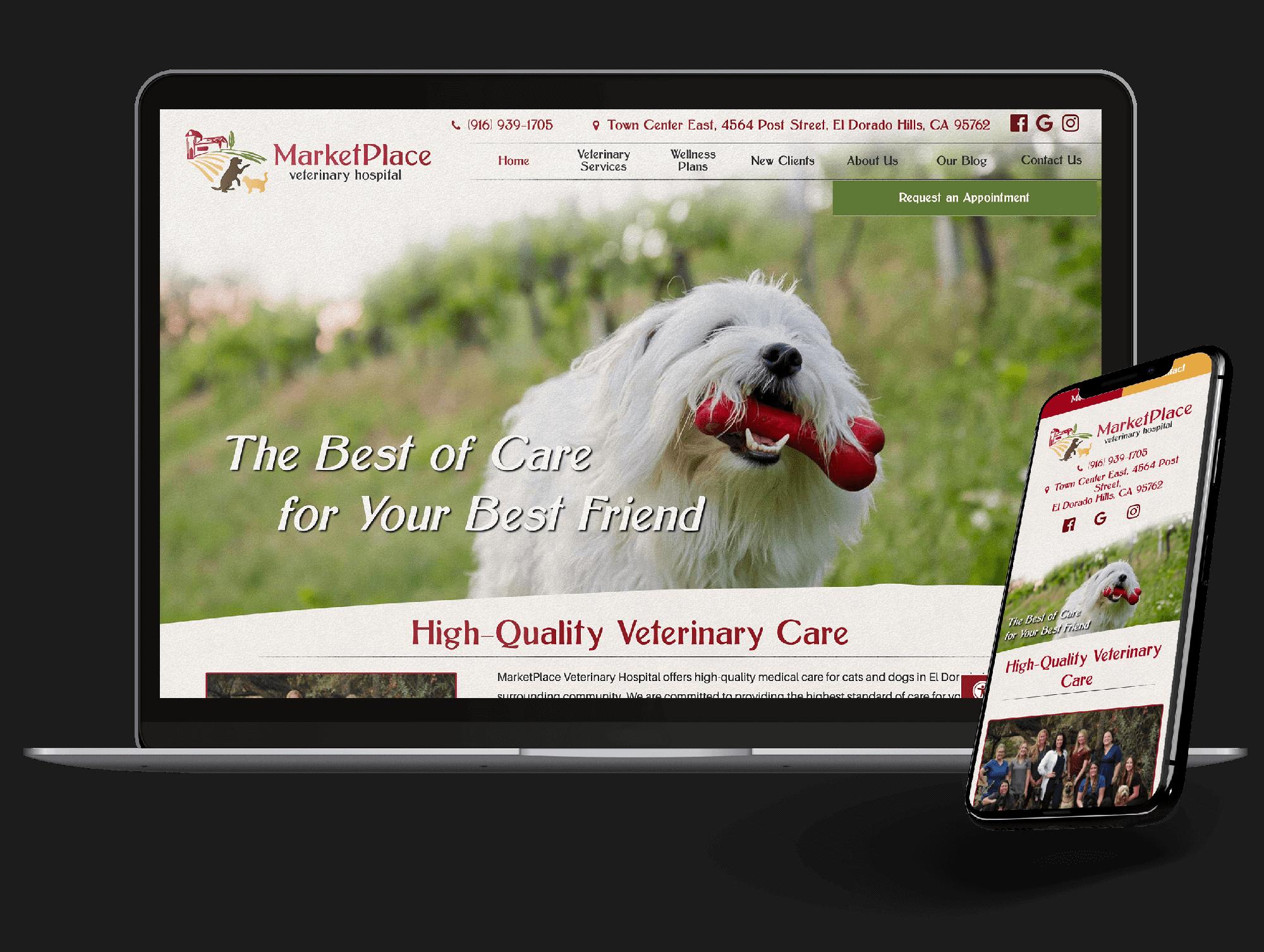 Veterinary Website Design | BEYOND INDIGO PETS