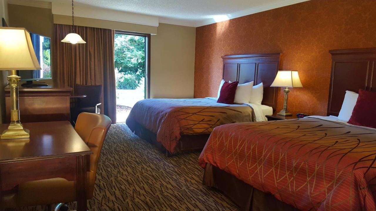 Suite con 2 camas grandes - No fumadores