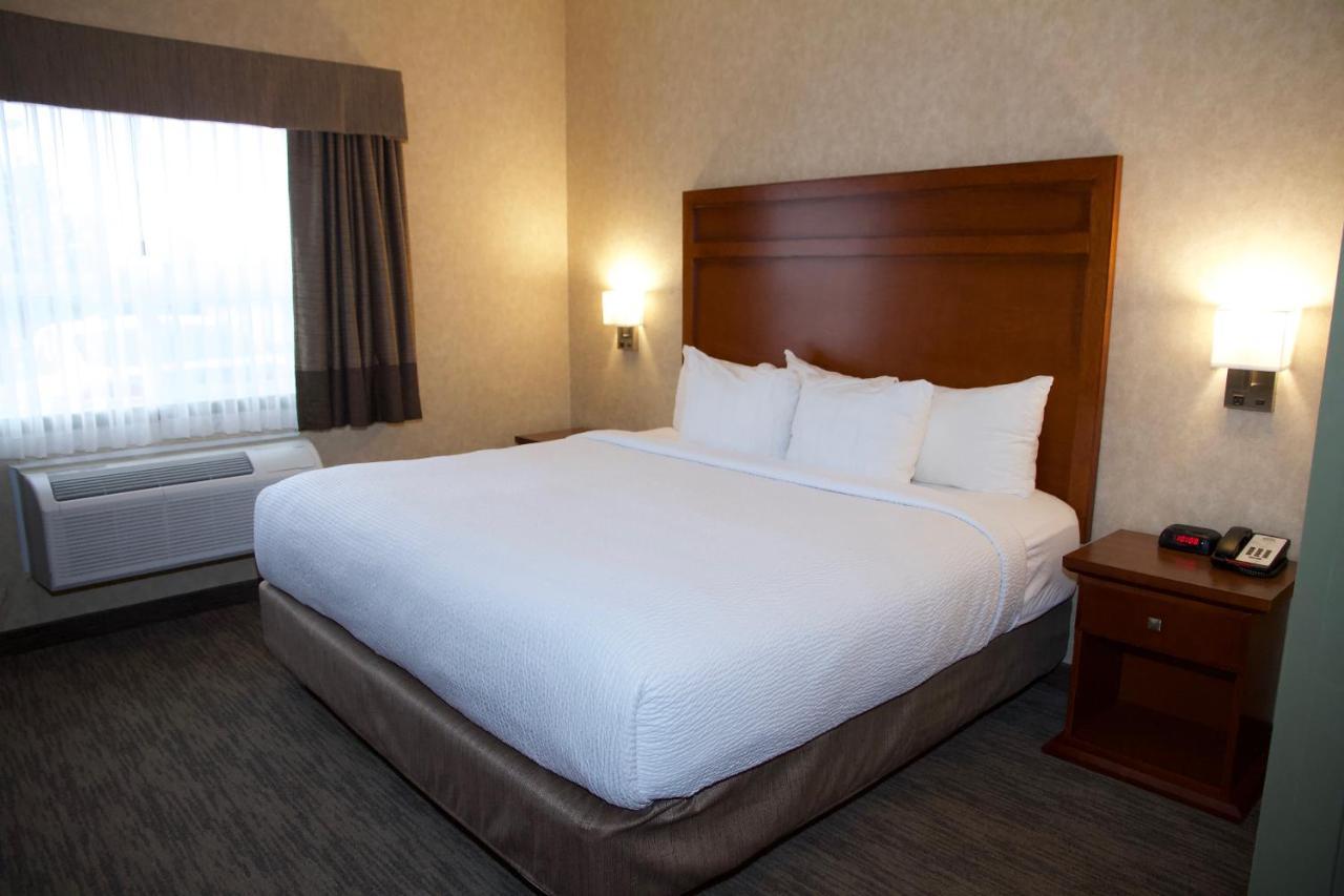 One-Bedroom King Suite - Non-Smoking