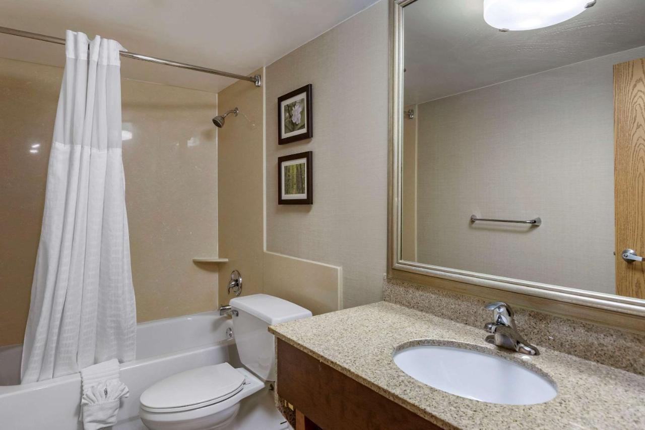 Efficiency King Suite - Non Smoking