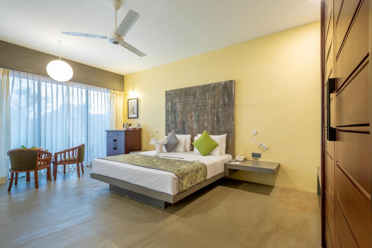 Deluxe King Suite