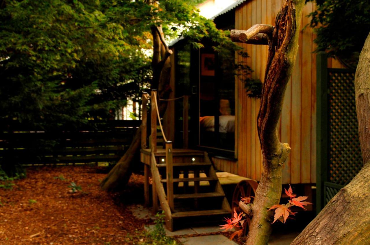 Dog Friendly Shepherd's Hut