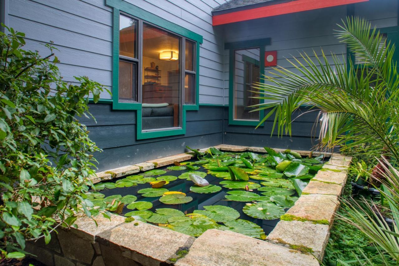 Studio Garden View