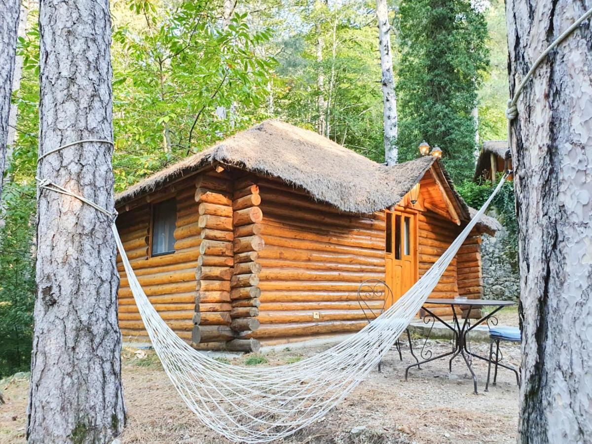 Chalet U Palatinu