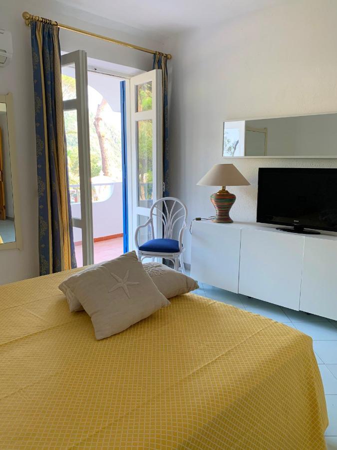 Standard Double Room,1129400328:JPEG