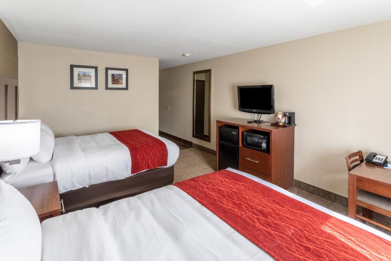 Queen Room Two Queen Beds Non-Smoking