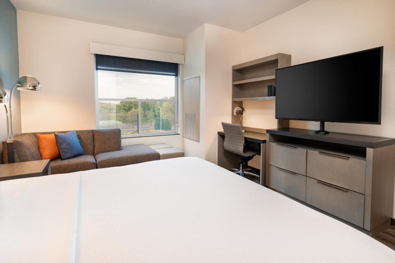King Studio Suite with Kitchen and Sofa Bed
