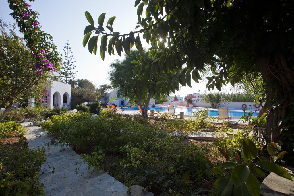 Studio with Pool View (3 Adults)