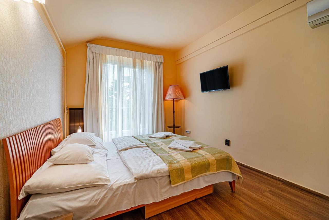 Double or Twin Room Balcony Mountain View