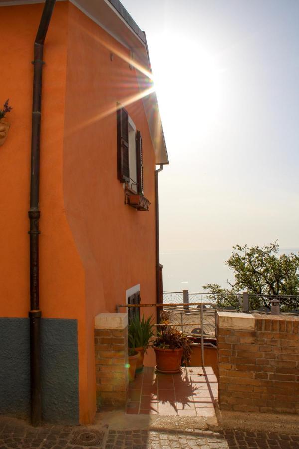Double Room with Terrace and Small Kitchen