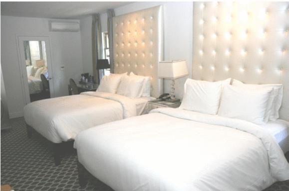 Queen Room Two Queen Beds