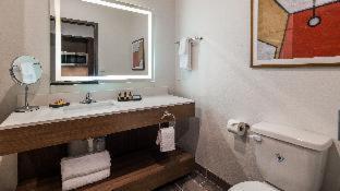 King Room Mobility Access Bathtub Grab Bars Non-Smoking