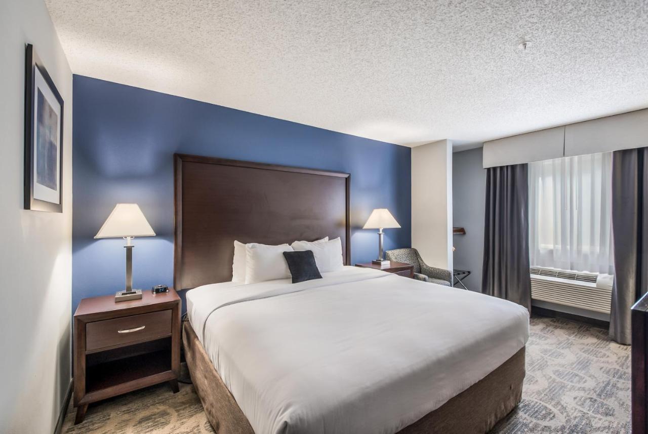 King Room Disability Access or Pet Friendly