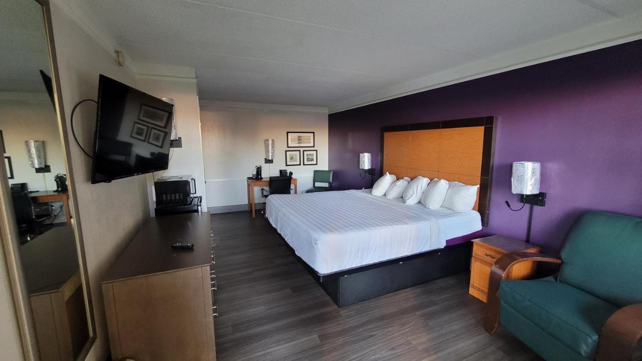 Deluxe King Room,1188204529:JPEG