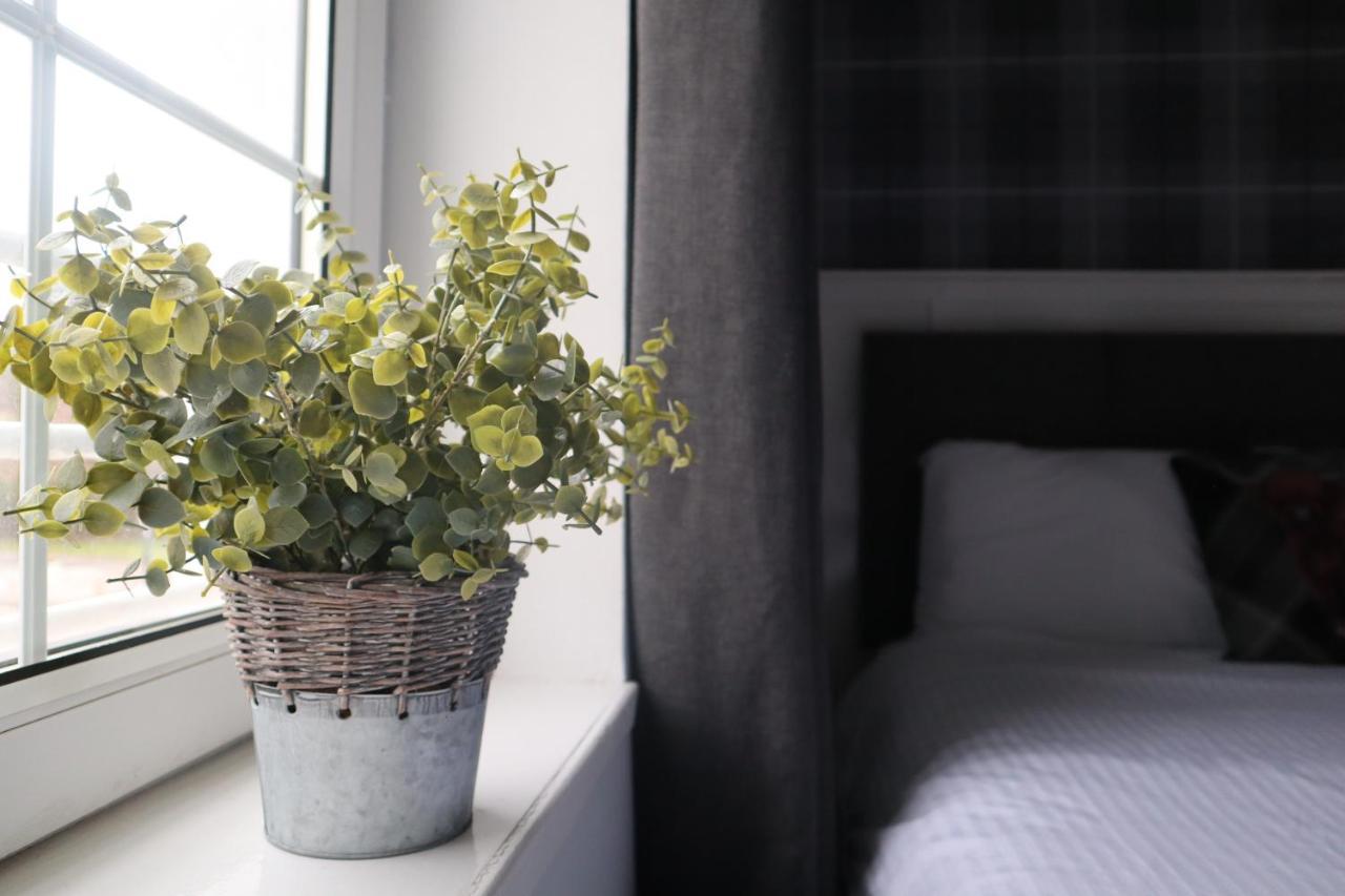Triple Room with 1 Double Bed and 1 Single Bed