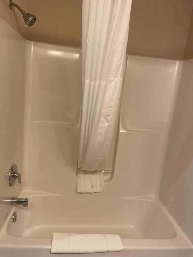 Premium One-Bedroom King Suite Pet Friendly or Non-Smoking