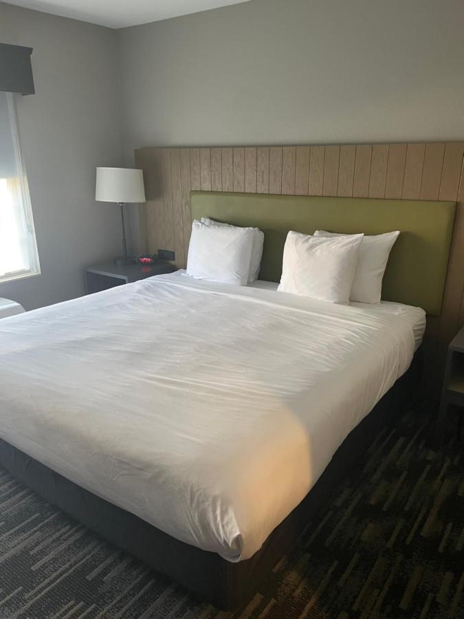 Premium One-Bedroom King Suite Pet Friendly or Non-Smoking