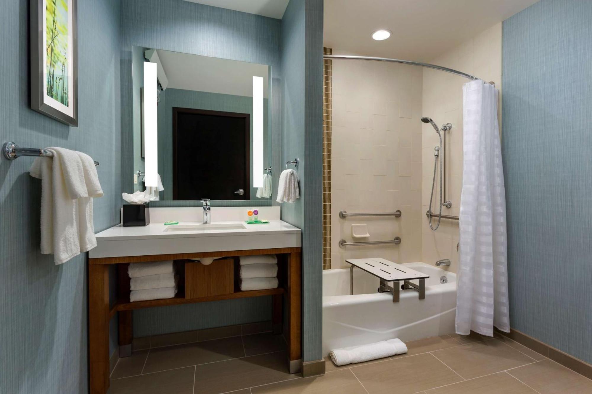 King Room Sofa Bed Accessible Tub Disability Access
