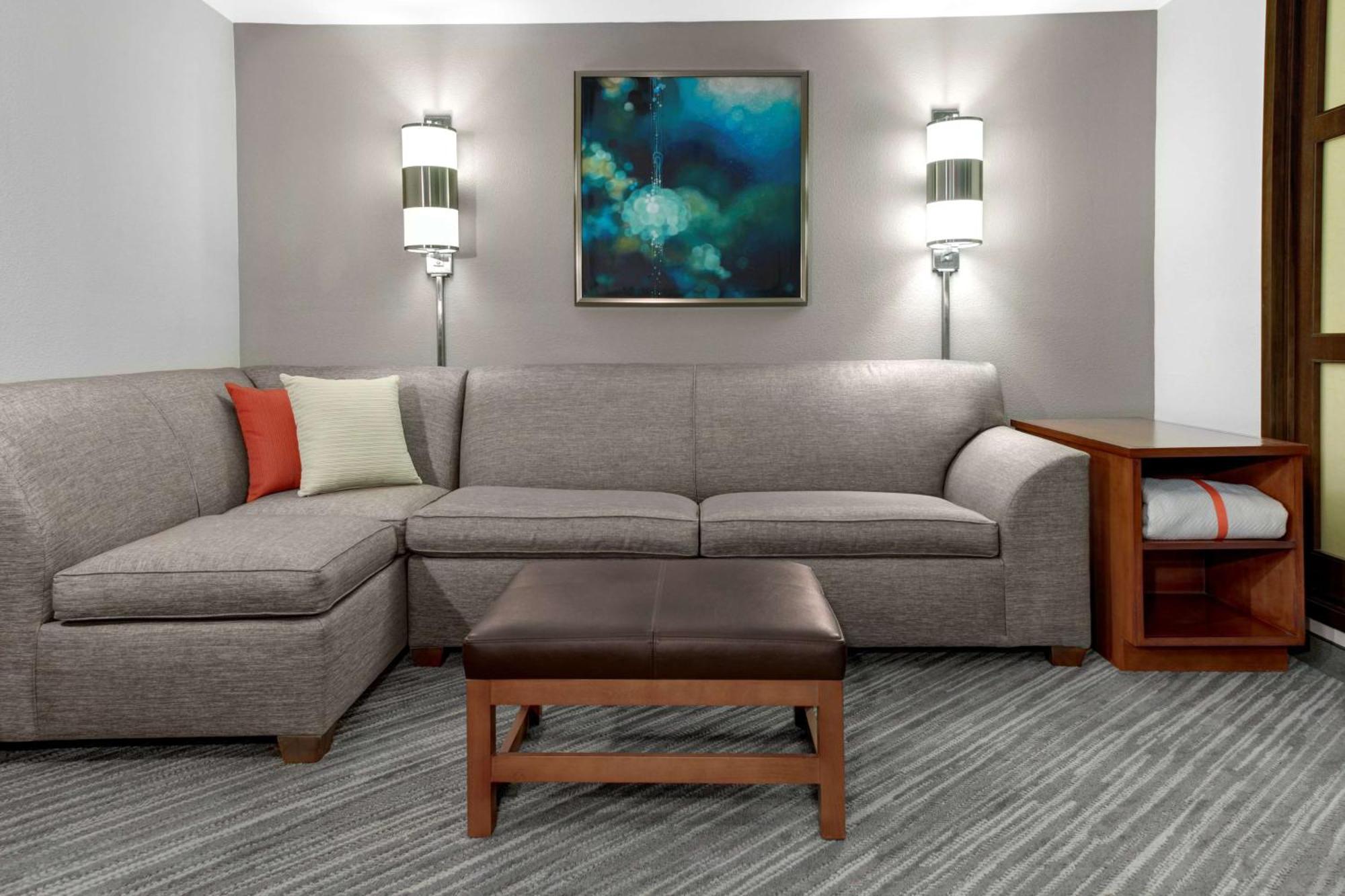Specialty King Room Sofa Bed