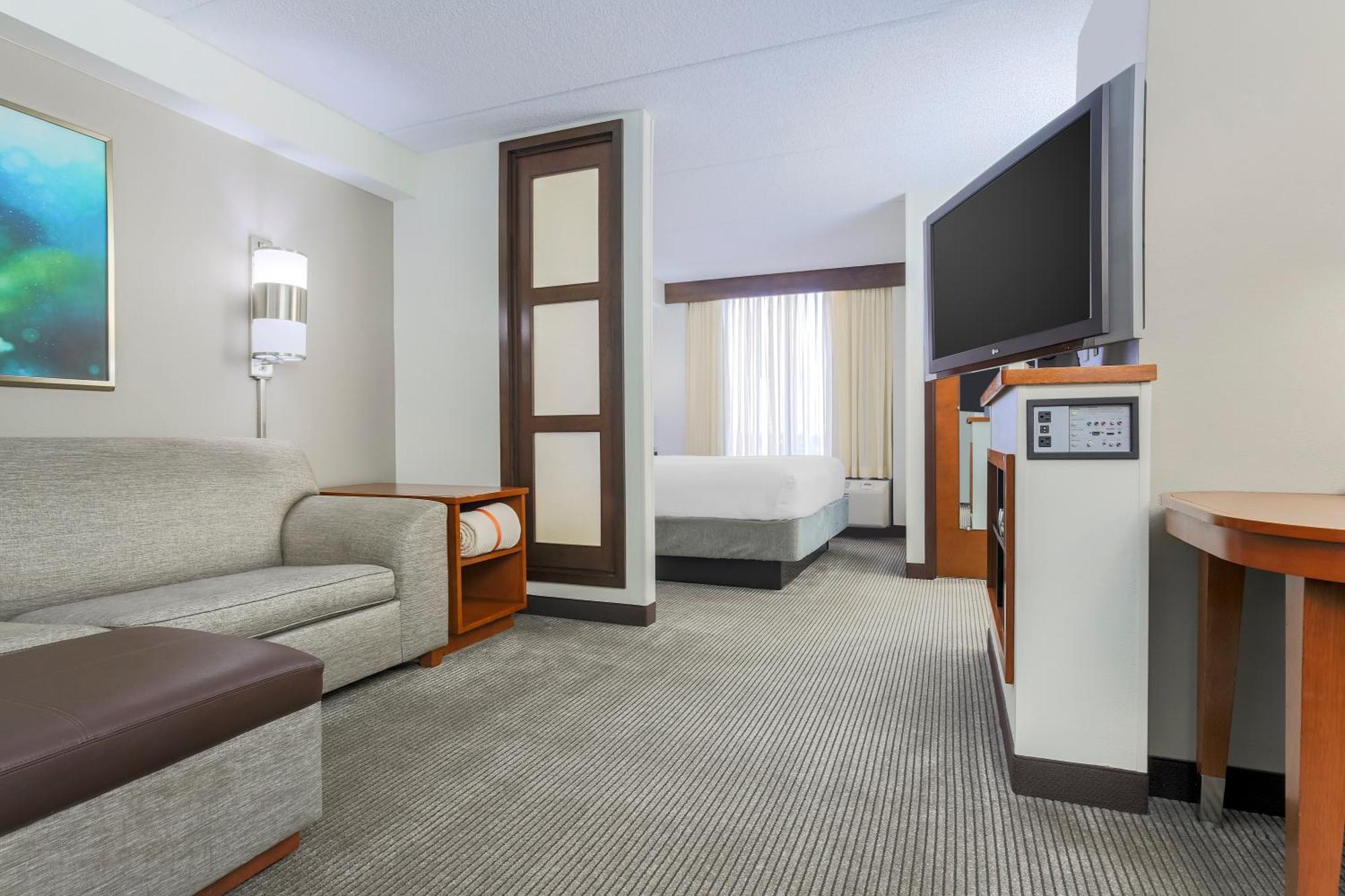 King Room with Sofa Bed