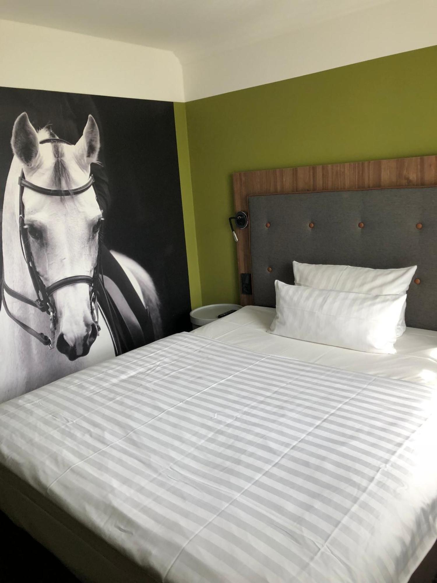 Comfort Single Room