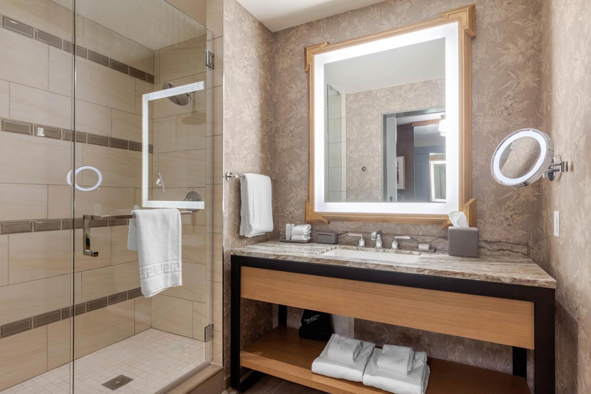 Habitación Premier con cama extragrande