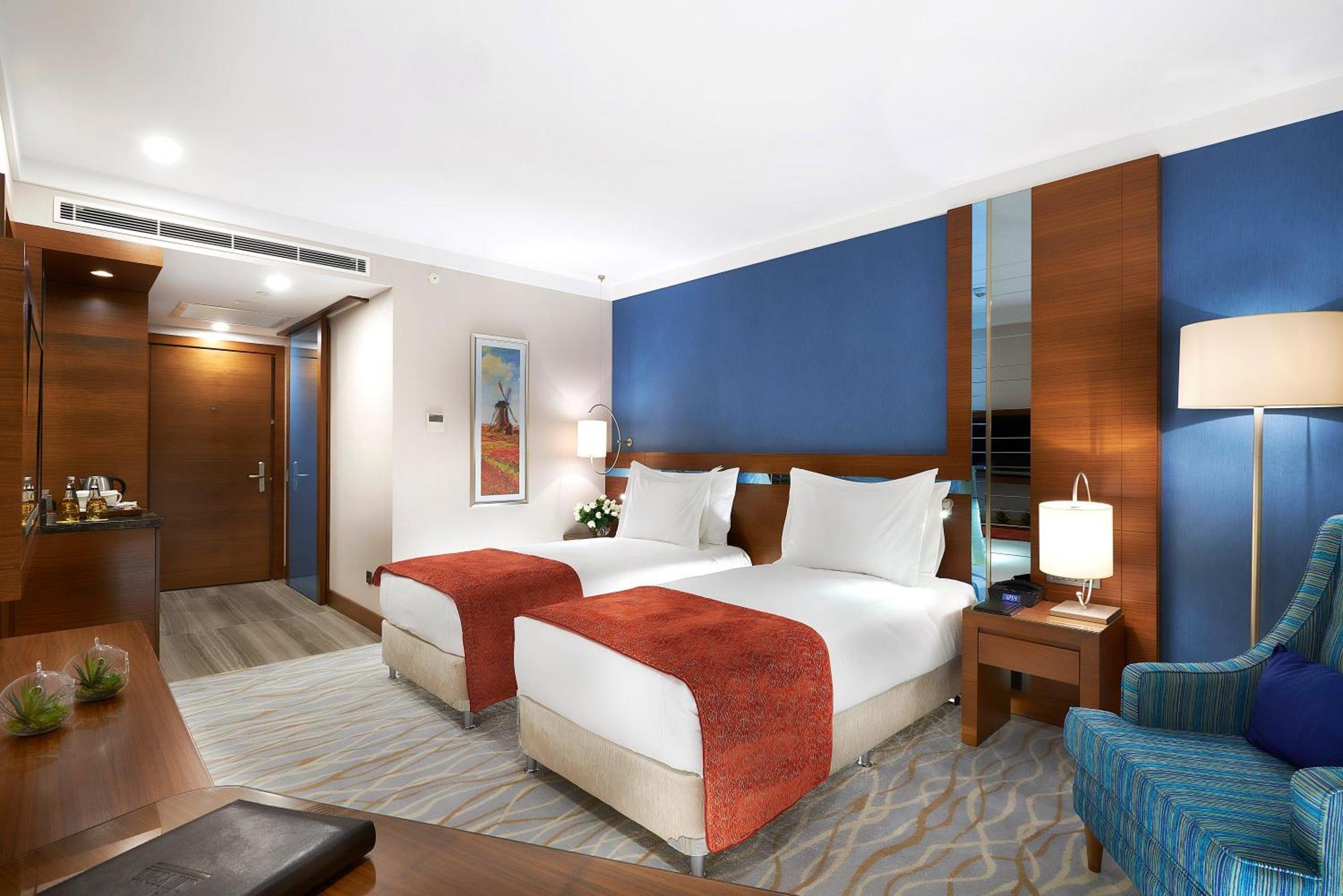 Superior Twin Room Mountain View