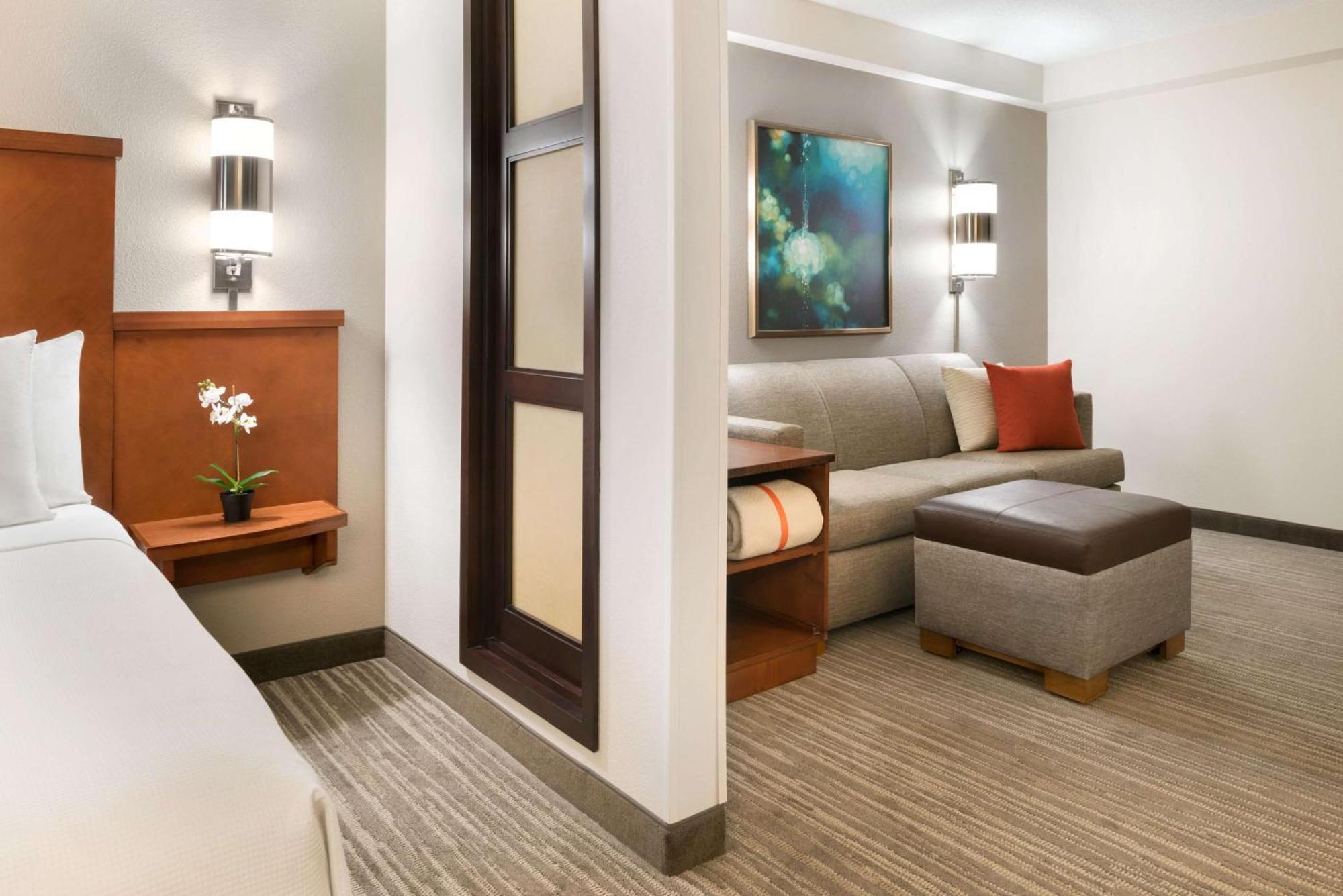 King Room with Sofa Bed and Accessible Tub - Disability Access