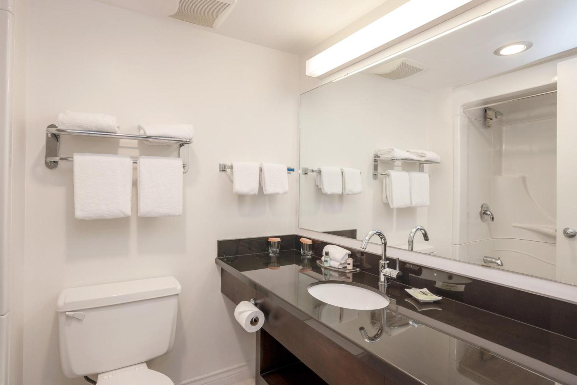 Standard Room 1 King Bed Monashee Building