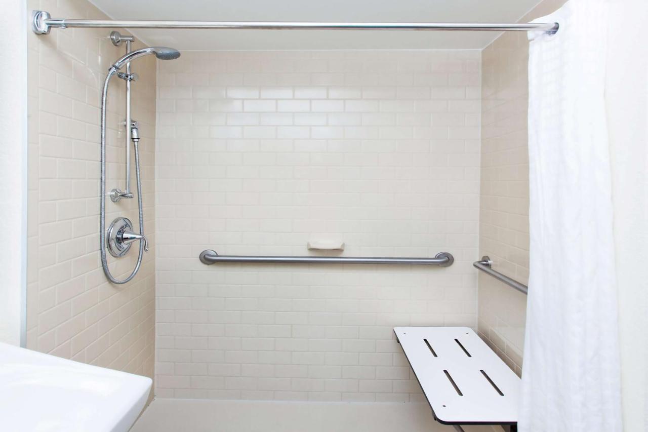 Studio Queen Suite with Roll-In Shower - Mobility Accessible