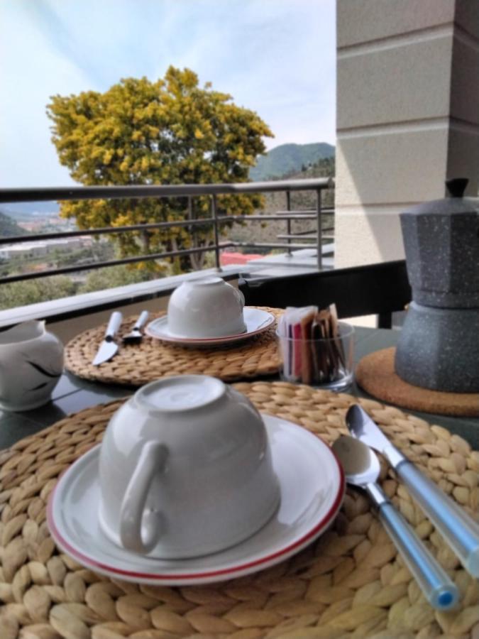 Appartamento con Vista Giardino