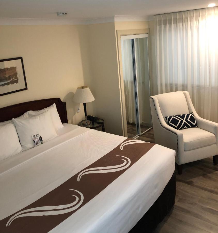 Business King Room - Non-Smoking
