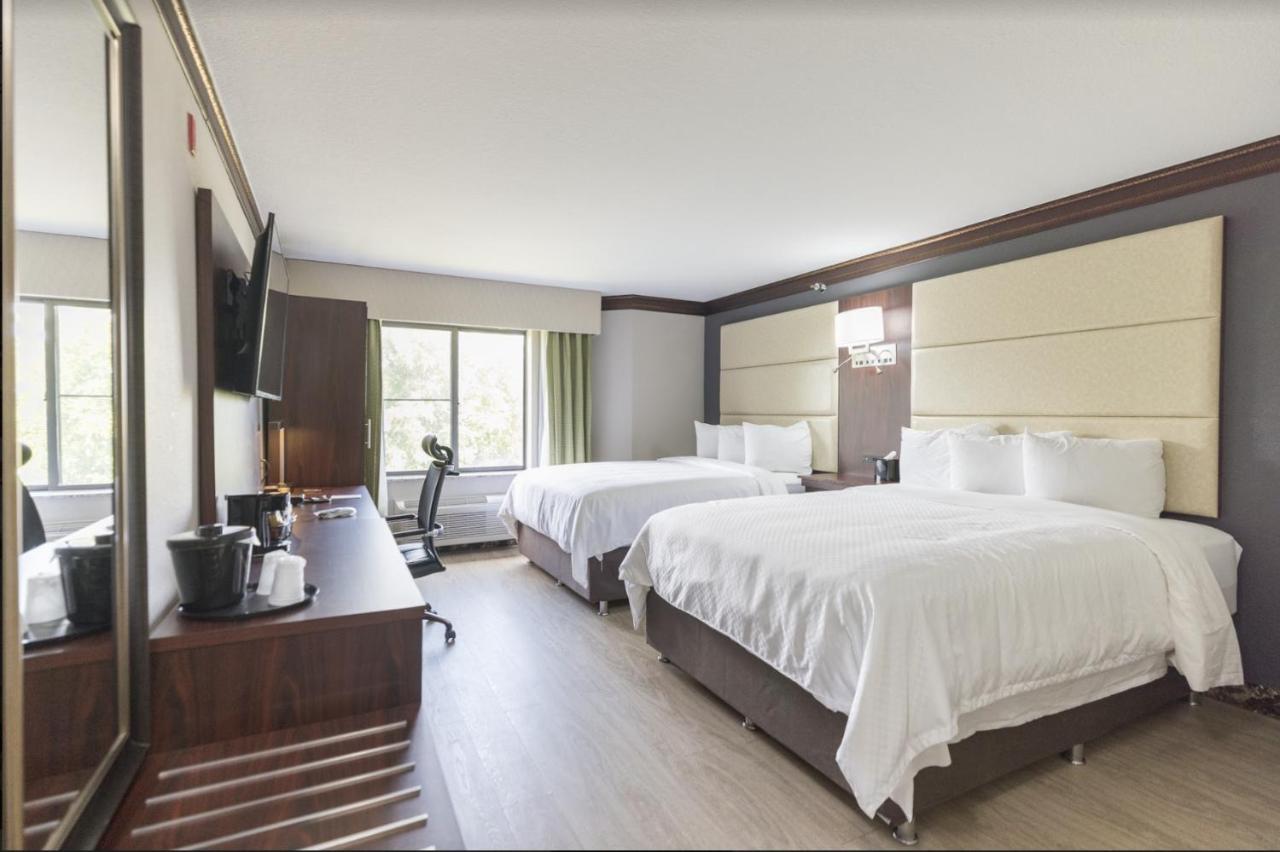 Standard Queen Room Two Queen Beds Non Smoking