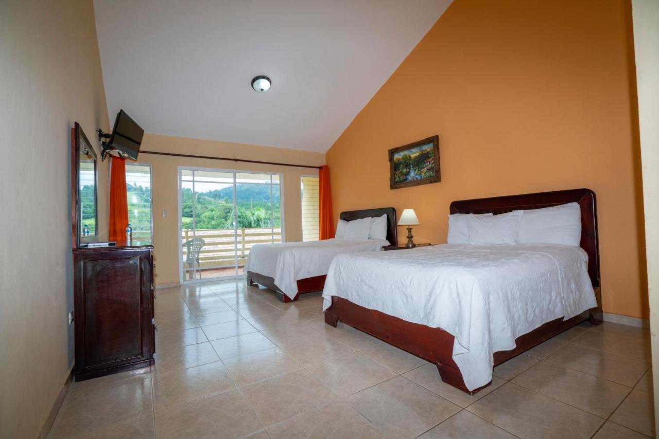 Standard Twin Room Mountain View