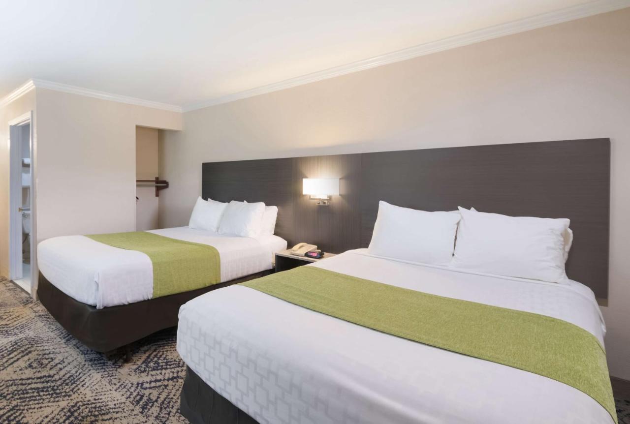 Queen Room with Two Queen Beds and Roll-In Shower - Mobility Accessible/Non-Smoking