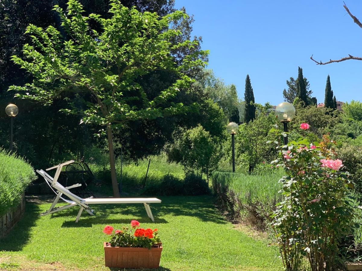Studio Garden View
