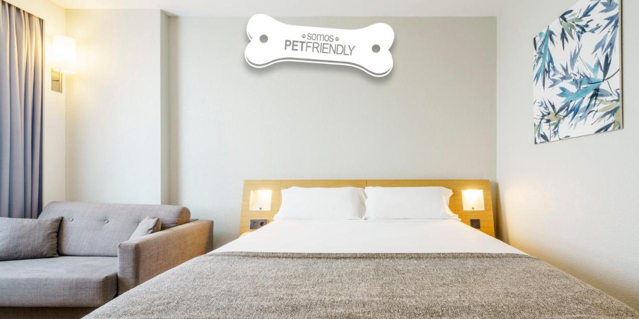 Chambre Double - Animaux Domestiques Acceptés