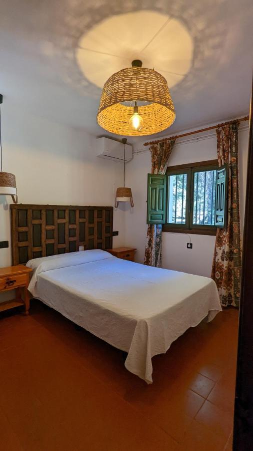 Quadruple Room Mountain View