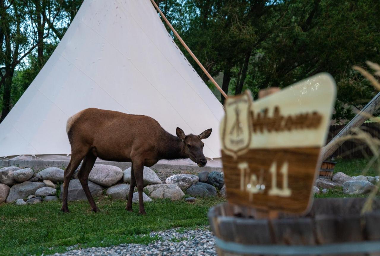 Tent