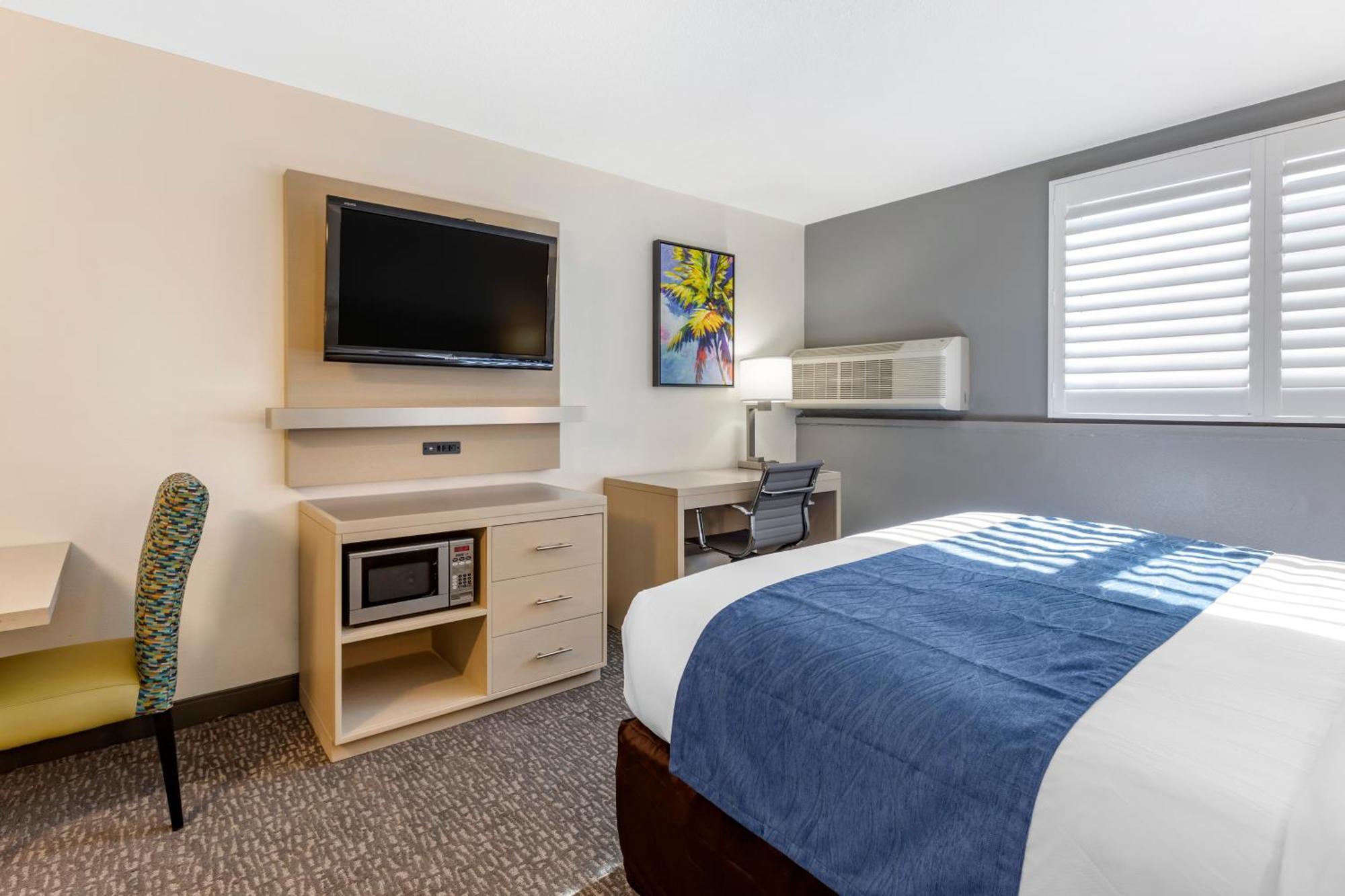 Larger Room 1 King Bed Wet Bar Non Smoking