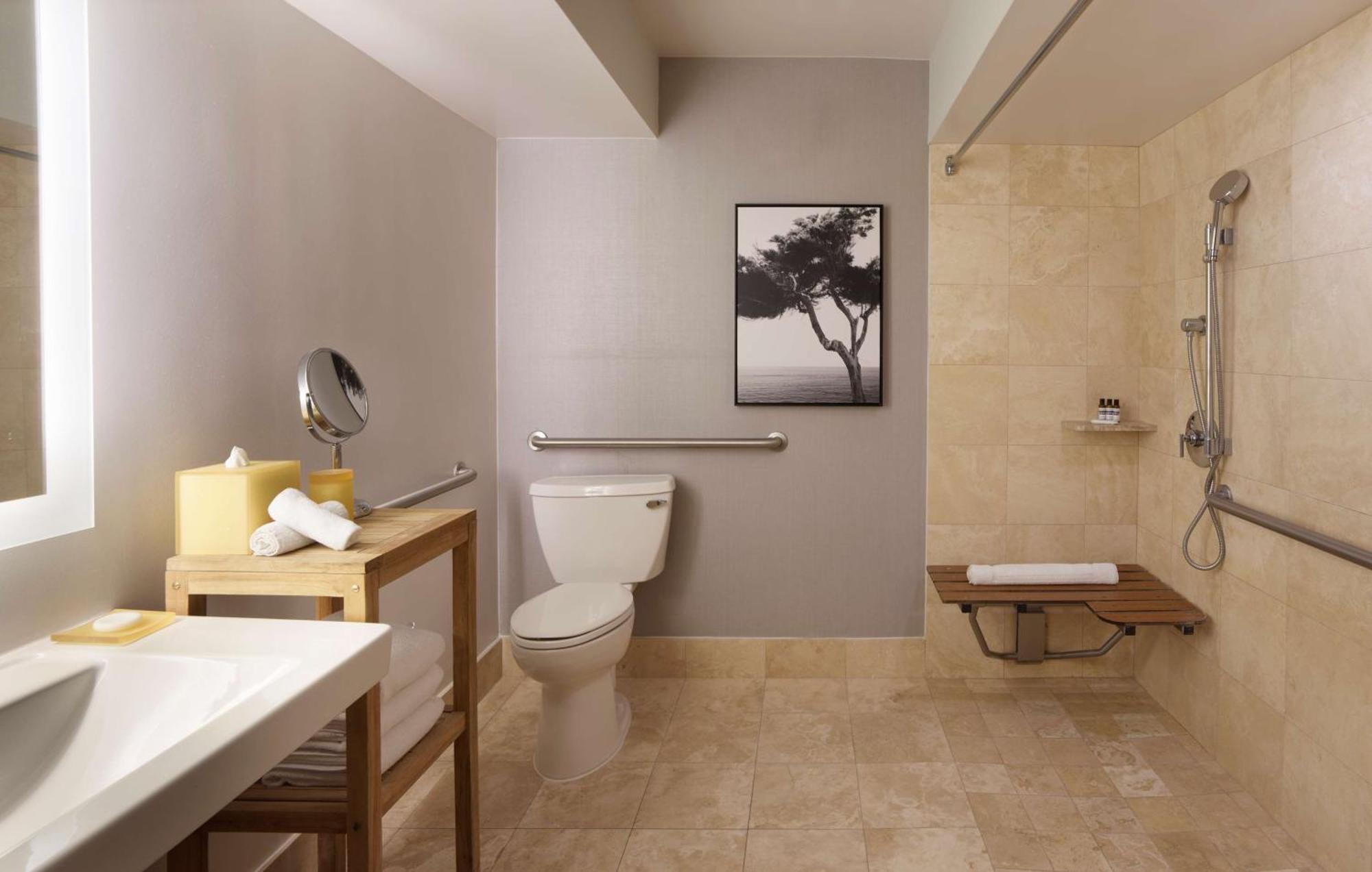 King Room Accessible Shower Disability Access