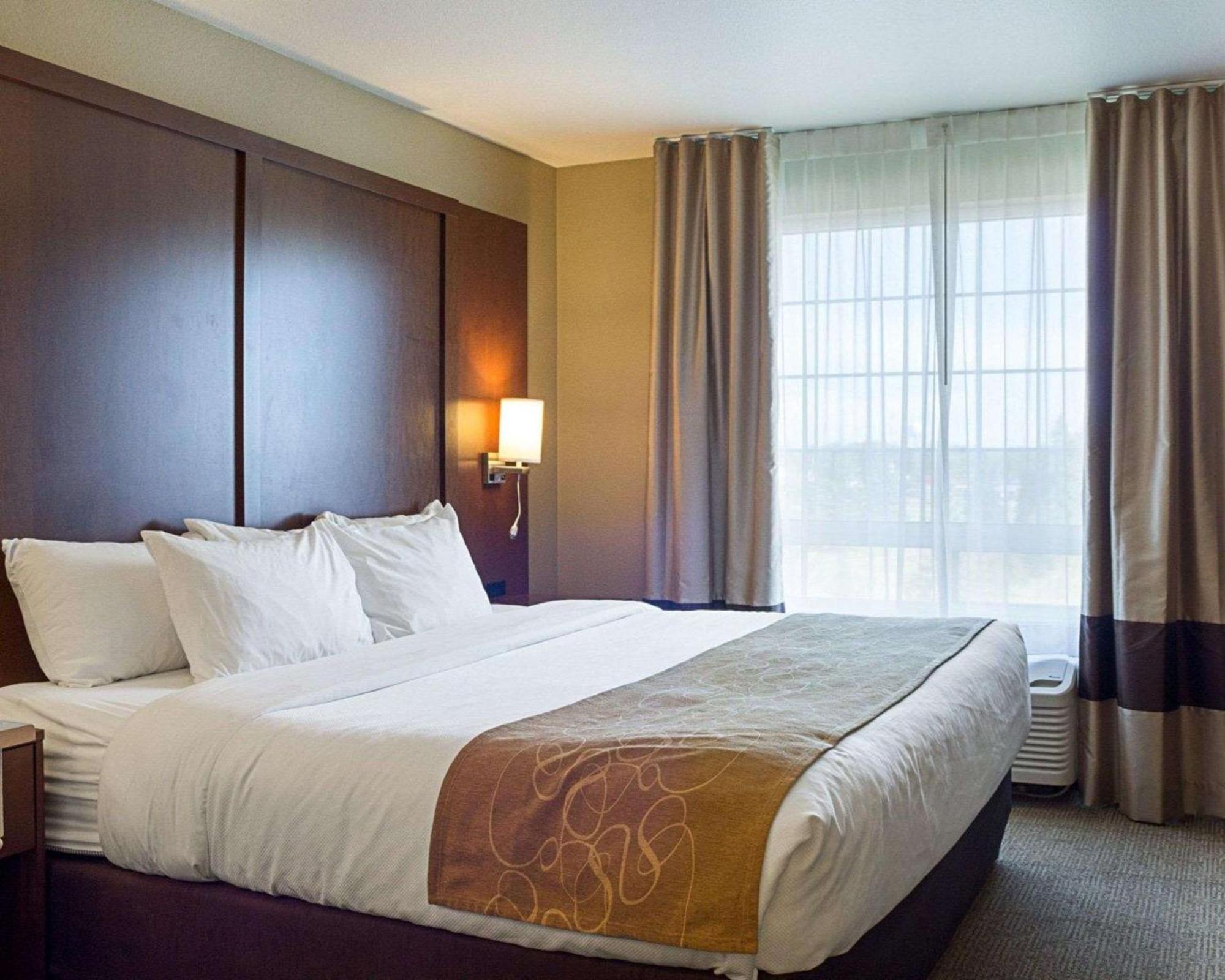 King Suite with Sofa Bed - Non-Smoking