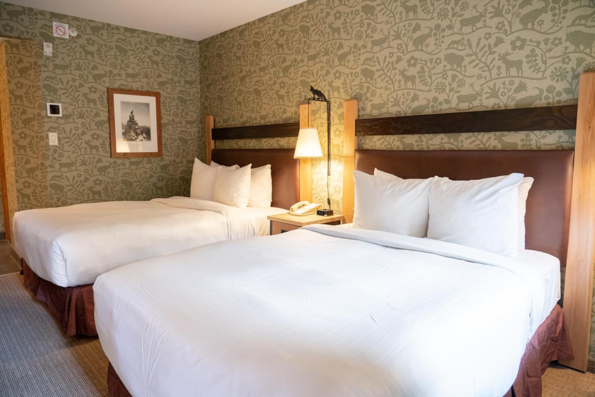 Double Room with Two Double Beds