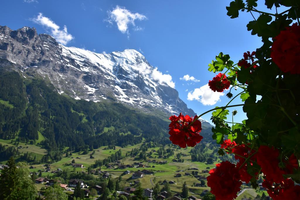 Superior Double Room with Eiger view and balcony