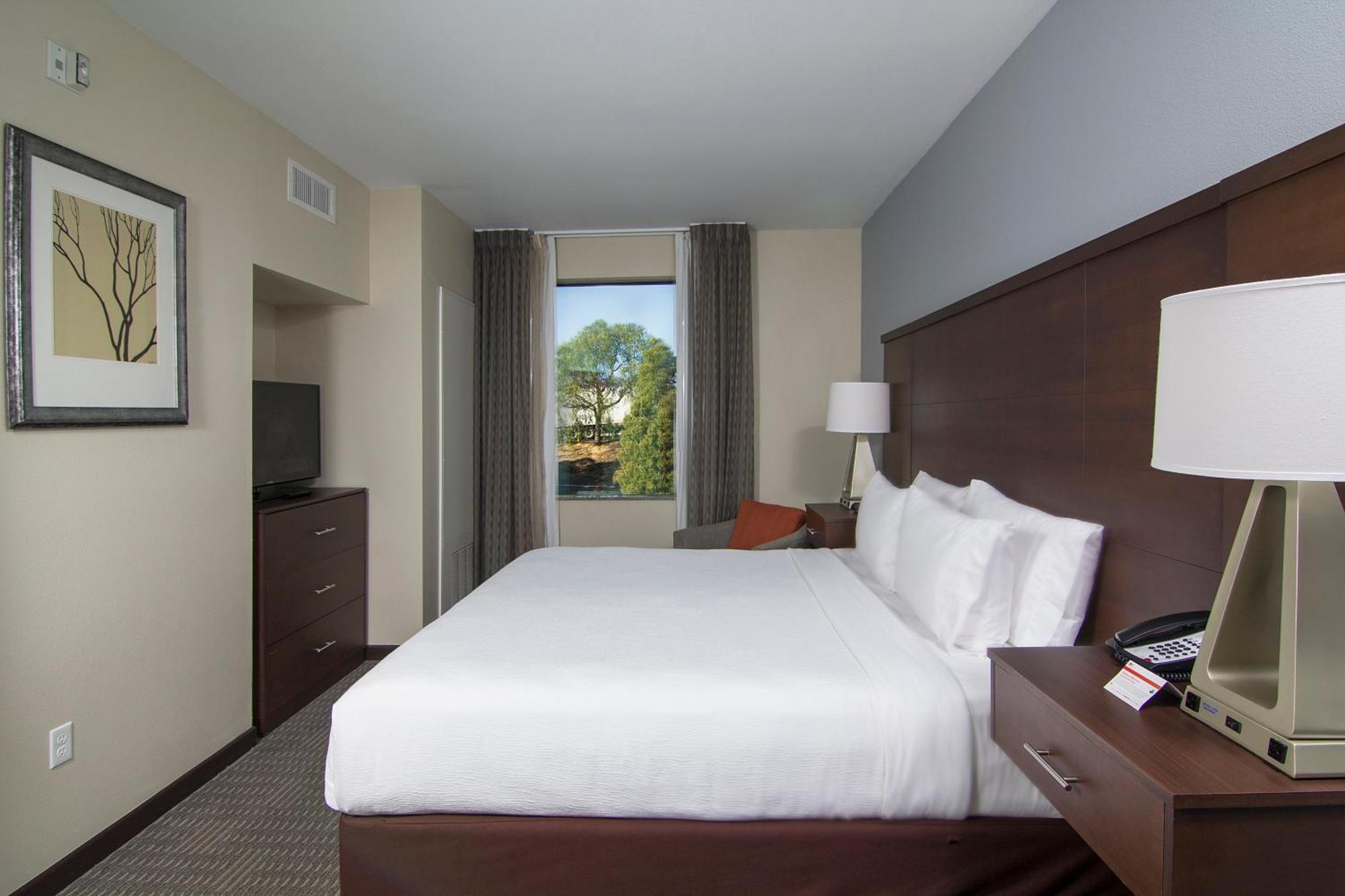One-Bedroom King Suite - Non-Smoking
