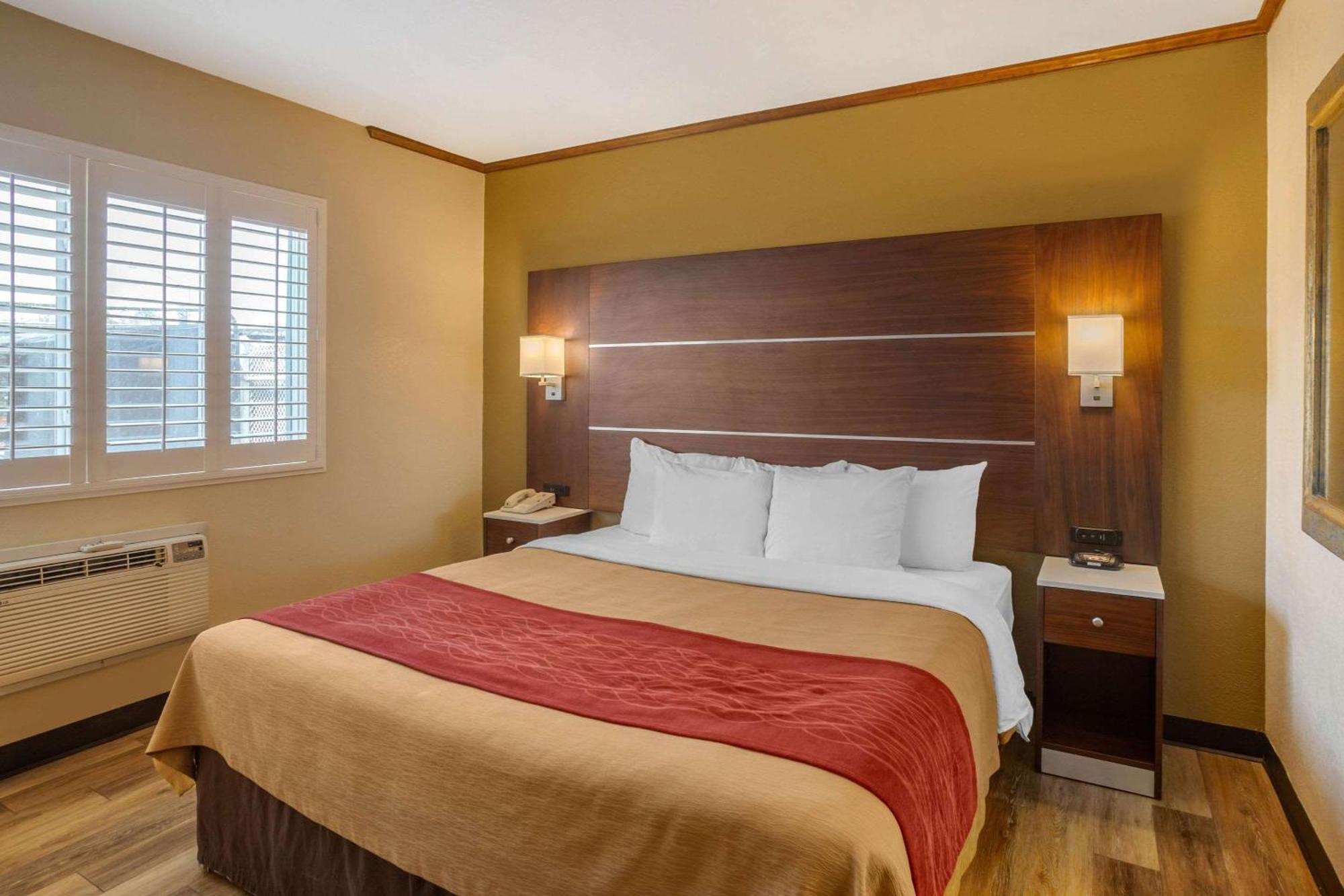 Deluxe Room, 1 King Bed, Non Smoking