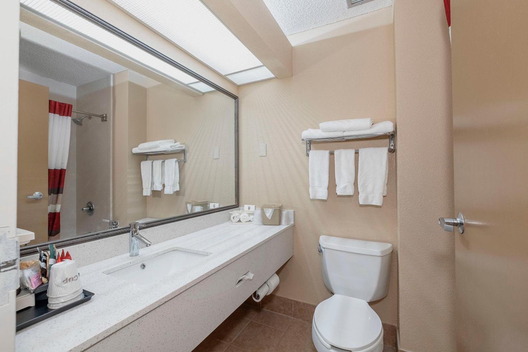 Suite King Room Non-Smoking