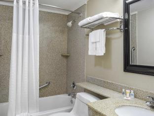Standard Double Room with Two Double Beds - Non Smoking