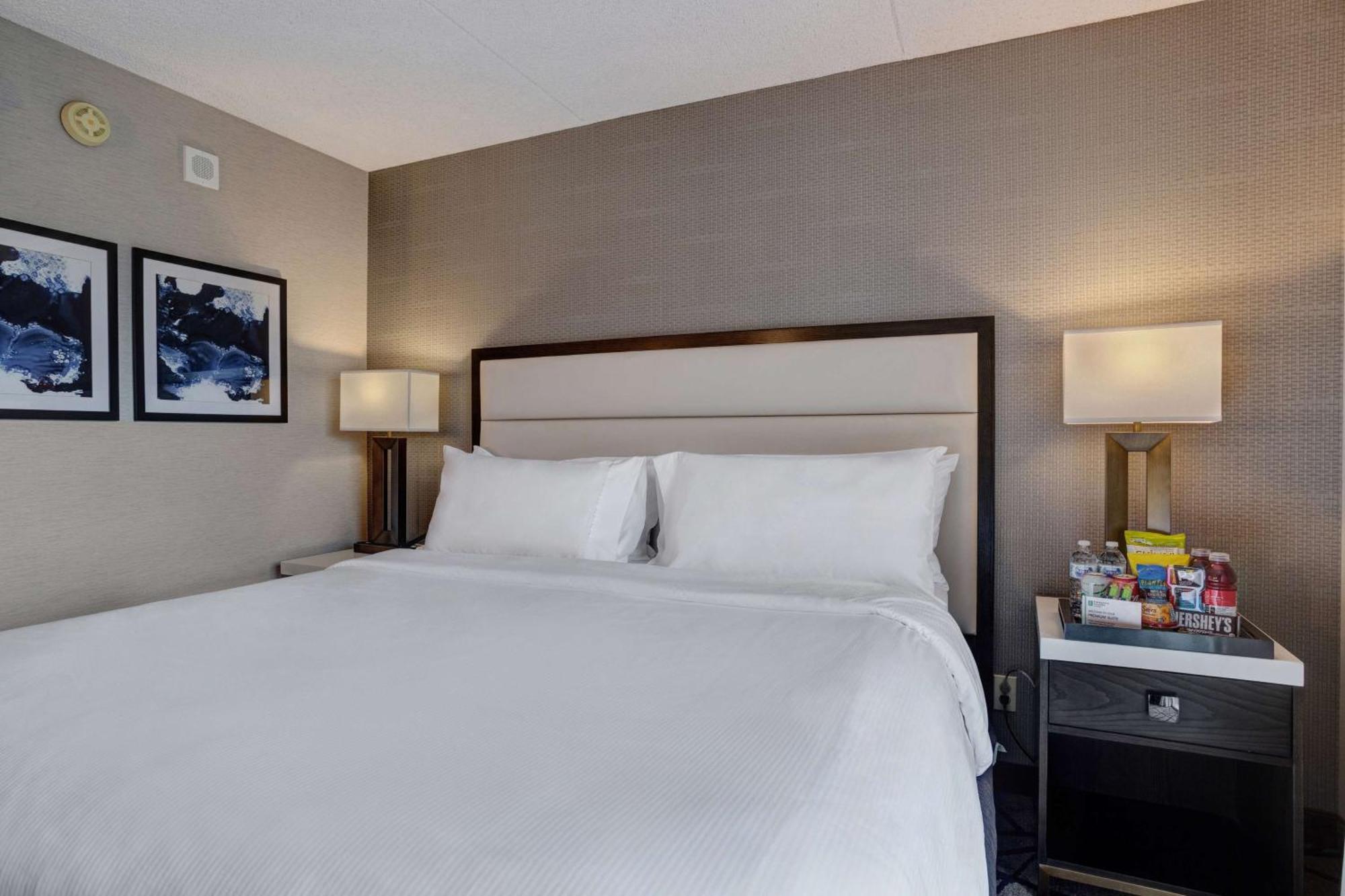 Premium King Suite Non-Smoking